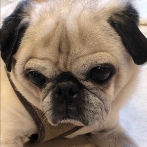 Meet your Posher, Hope